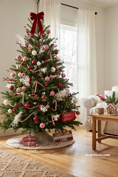 Candy Cane Lane sign with candy cane Christmas tree decorations