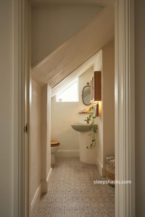 Downstairs toilet ideas with corner toilet basin and smart storage