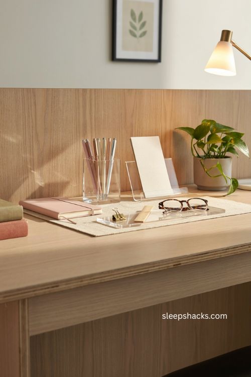 Elegant acrylic office desk accessories with clear organizers pink notebook and green plant 