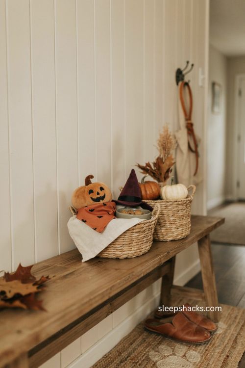 Halloween boo basket ideas for pets with pumpkin toy bandana witch hat and treats 