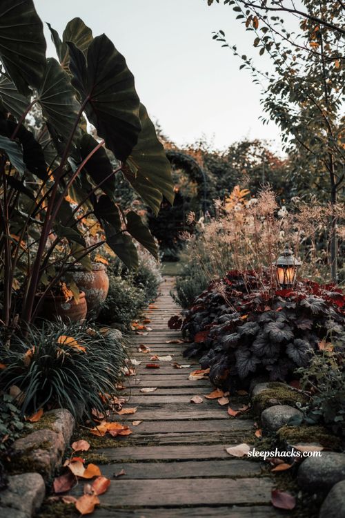 Halloween garden ideas with black foliage dark plants and eerie walkway decor