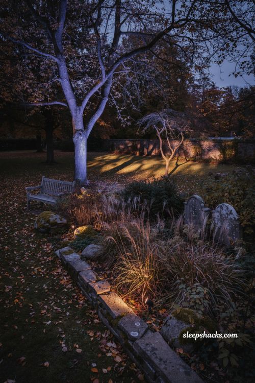 Halloween garden ideas with dramatic uplighting spooky shadows and outdoor lights