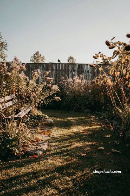 Halloween garden ideas with dried flowers ornamental grasses and spooky shadows