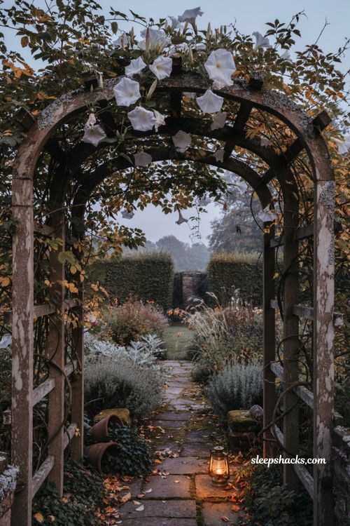 Halloween garden ideas with white moonflowers and silvery night garden plants