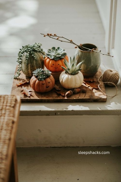 Mini pumpkin succulent planters for cozy fall porch decor 