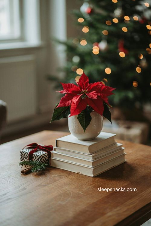 Poinsettia on stacked white books christmas coffee table decor 
