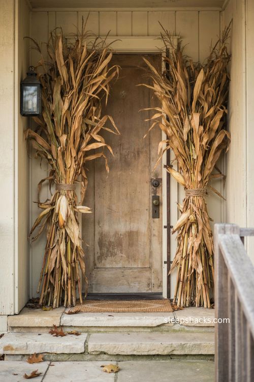 Thanksgiving porch with dried corn stalk bundles around the front door 