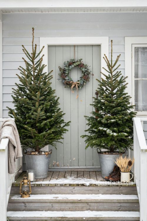 christmas trees in galvanized buckets beside a cozy cottage porch 