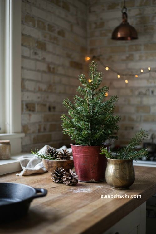 mini christmas tree in a red zinc pot with pinecones 