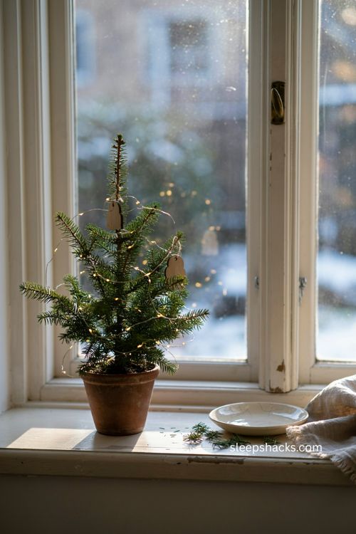mini christmas tree on a windowsill with fairy lights 