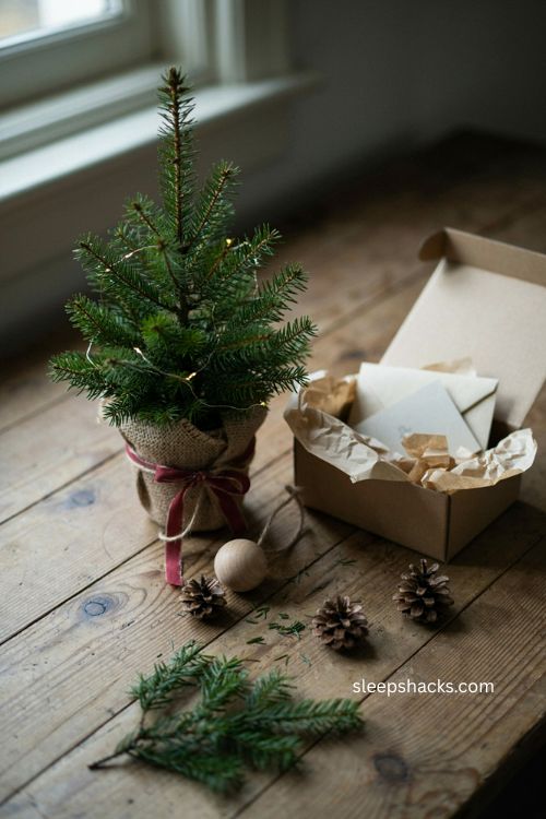 mini christmas tree wrapped as a thoughtful christmas gift for small apartments 