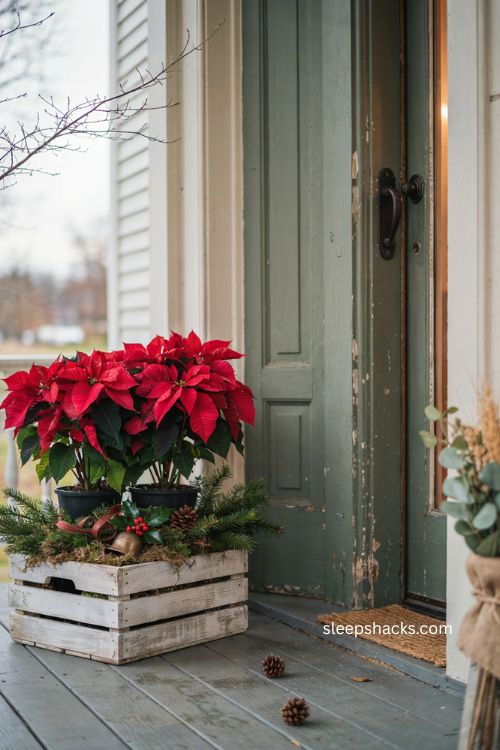 poinsettia porch box with red blooms in a distressed wooden crate beside a farmhouse Christmas front door 