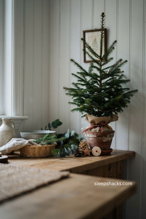 real pot grown mini christmas tree with rustic hessian and red ribbon 