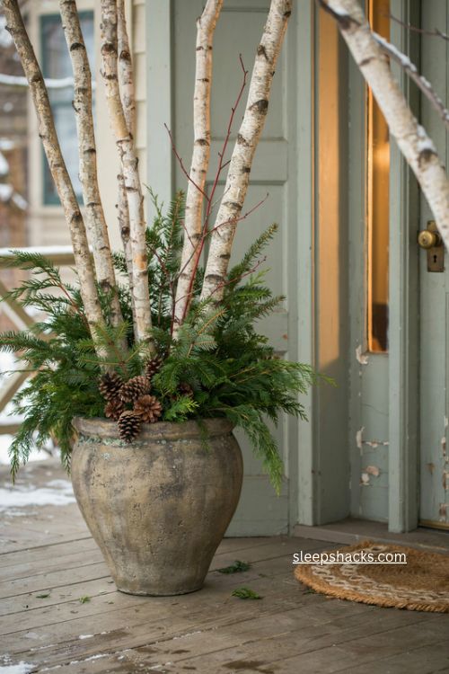 Birch poles and evergreen bough christmas planter with red dogwood