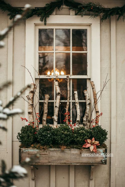 Boxwood and birch christmas window box with red berries and ribbon