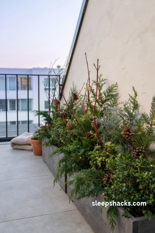 Christmas balcony planter box filled with pine cedar juniper holly red dogwood twigs pinecones and warm white fairy lights
