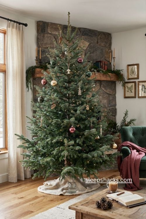 Colorado blue spruce Christmas tree with silvery blue needles and elegant vintage ornaments 