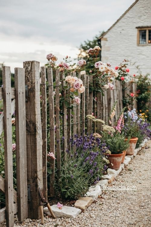 Fence line landscaping ideas with roses lavender and clematis in an english cottage garden