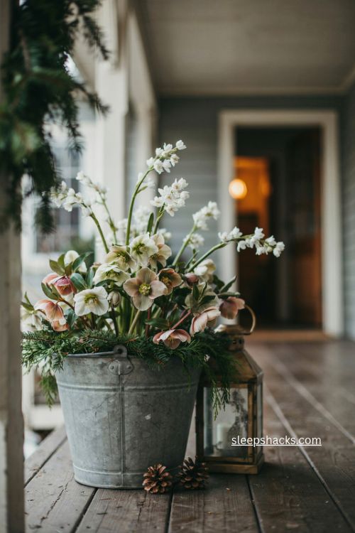 Galvanized tub christmas planter with hellebores paperwhites and evergreen