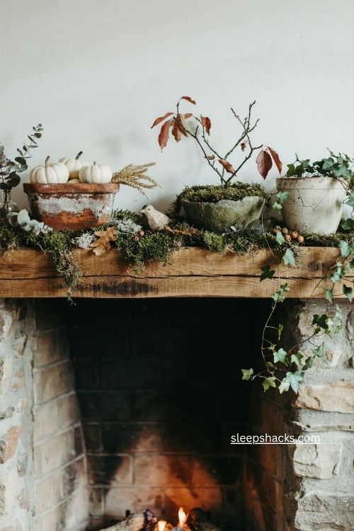 Layered moss with vintage planters and white pumpkins on a fall mantel 