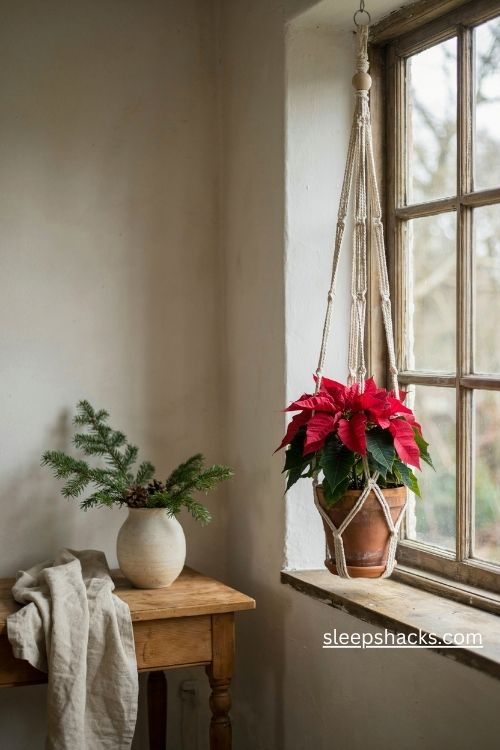 Macrame plant hanger with a red Christmas poinsettia terracotta pot and natural wooden bead