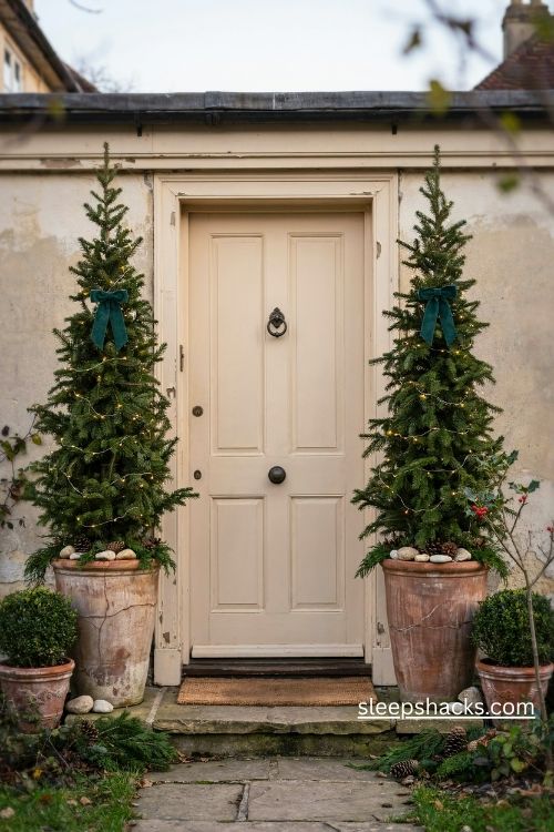 Matching potted Christmas trees with warm white lights flanking a cozy traditional front door