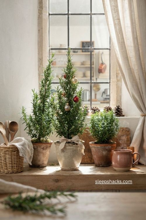 Potted rosemary christmas tree with tiny ornaments on a cozy kitchen windowsill 