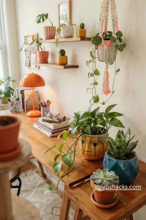Quirky planters in a funky home office with colorful ceramic pots and playful green plants 