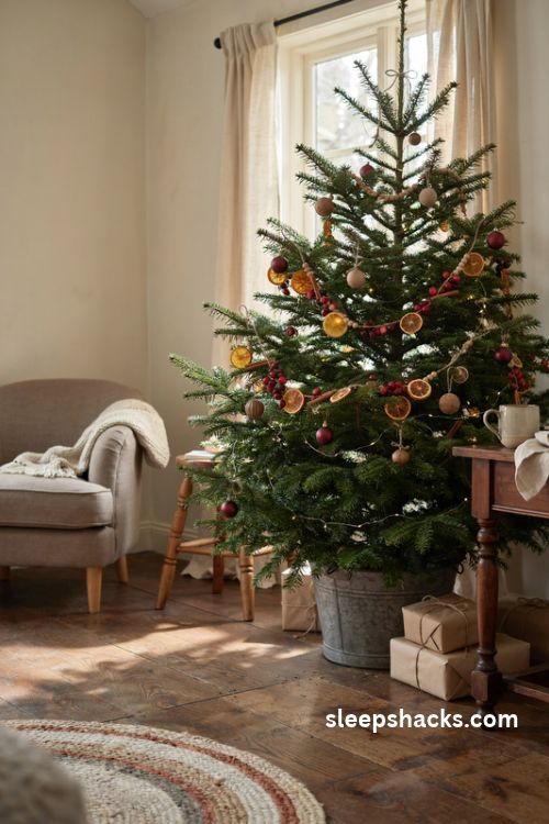 Rustic christmas tree with dried orange cranberry garland and cinnamon sticks