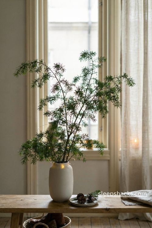 Scandi christmas evergreen branches in a simple ceramic vase on a natural oak console table