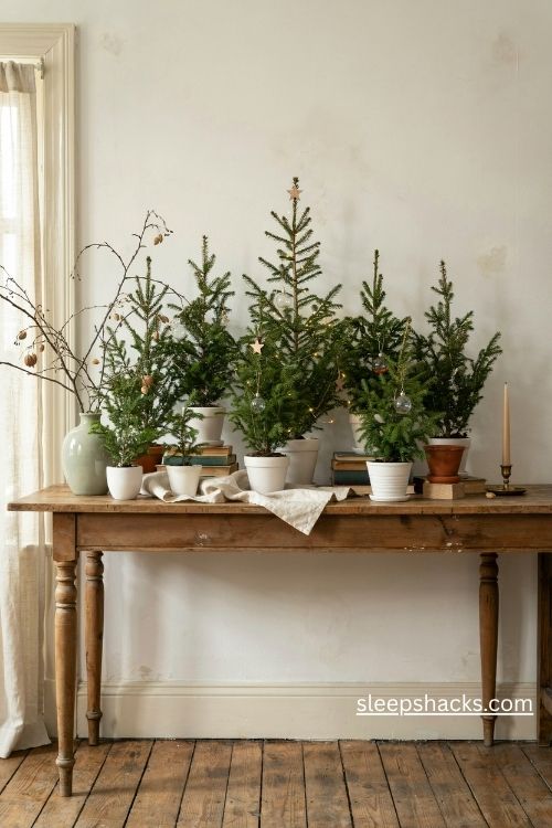 cluster of seven mini christmas trees in ceramic pots on a rustic wooden sideboard with cozy woodland decor