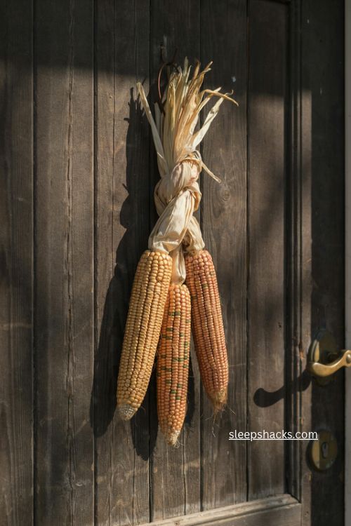 fall door decor with braided metallic dried corn in gold copper and bronze 